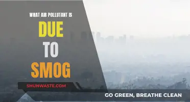 Smog and Its Air Pollutants: What's the Connection?