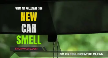The Toxic Truth Behind New Car Smell