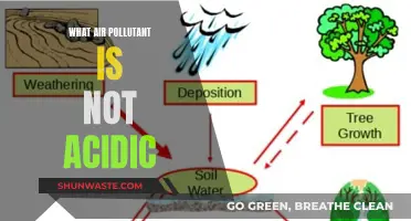 Air Pollutants: Exploring Non-Acidic Components