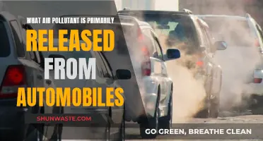 Air Pollutants from Automobiles: What's the Primary Culprit?