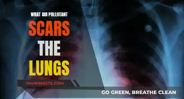 Air Pollution: Damaging Lungs, Leaving Lasting Scars