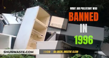 Air Quality Victory: 1996 Ban on Pollutant