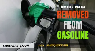 Removal of Lead from Gasoline: A Public Health Victory