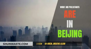 Air Pollution in Beijing: What's in the Air?