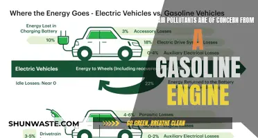 Gasoline Engines: Air Pollutants and Health Hazards