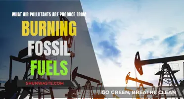 Air Pollutants from Fossil Fuels: What's the Damage?
