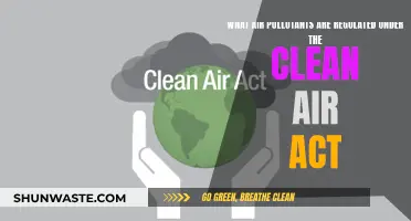 Air Pollutants: Clean Air Act Regulations