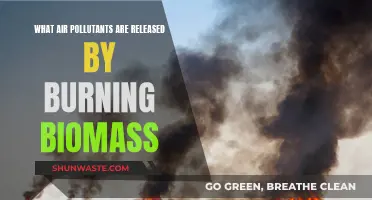 Biomass Burning: Understanding the Air Pollutants Released