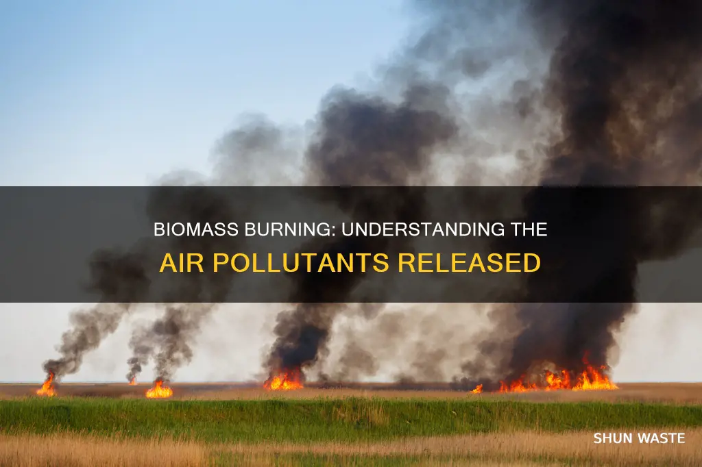 what air pollutants are released by burning biomass