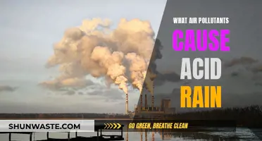 Acid Rain: Understanding the Air Pollutants Behind It