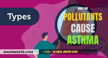 Unveiling the Hidden Asthma Triggers: Air Pollutants and Their Impact