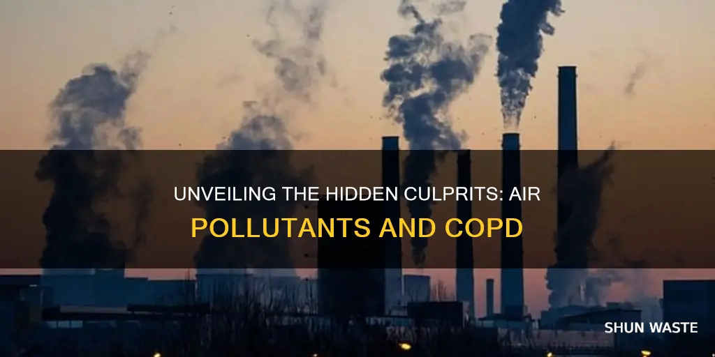 what air pollutants cause copd