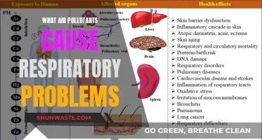 Unveiling the Respiratory Hazards: Air Pollutants and Their Impact