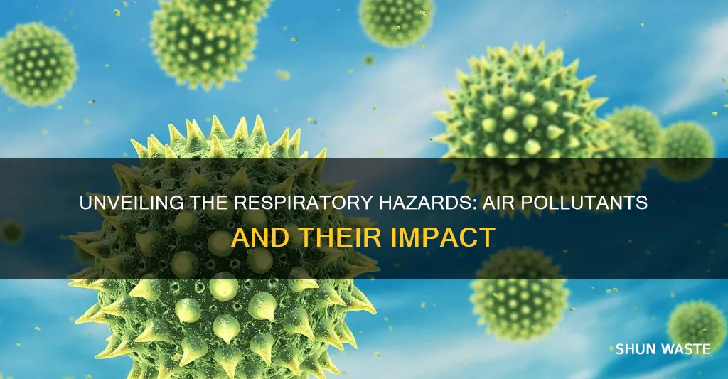 what air pollutants cause respiratory problems