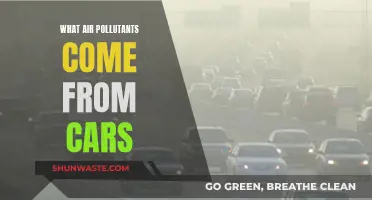Cars' Air Pollutants: What's the Harmful Mix?