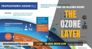 Ozone Layer: Air Pollutants and Their Destructive Impact