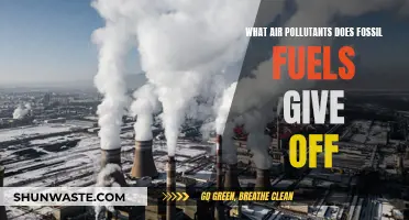 Air Pollutants from Fossil Fuels: A Toxic Mix
