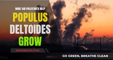 Air Pollutants: Populus Deltoides Growth Partners