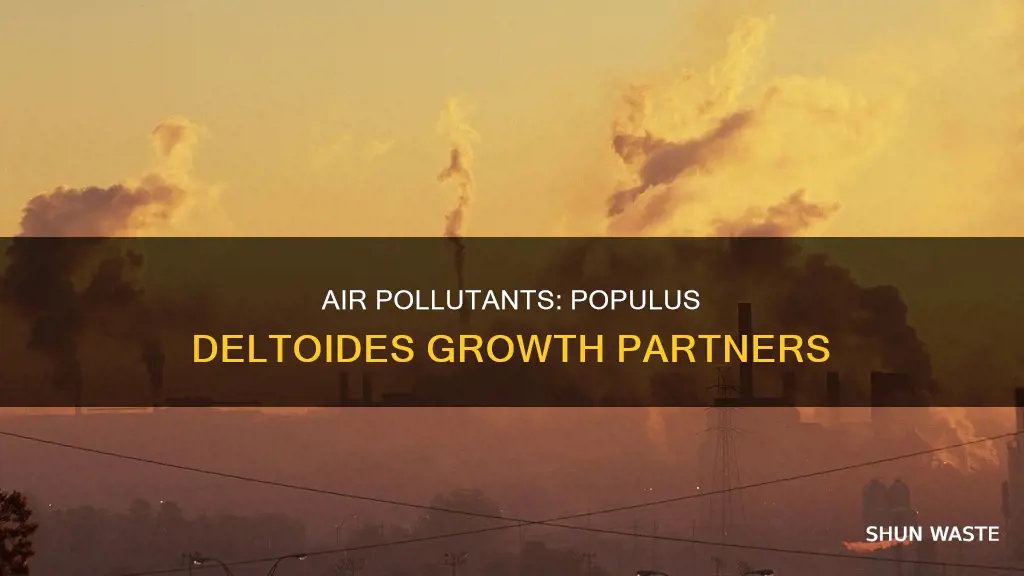 what air pollutants help populus deltoides grow