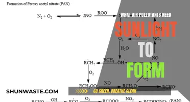 Sunlight's Role in Forming Atmospheric Pollutants
