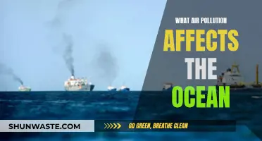 Ocean's Crisis: Air Pollution's Impact