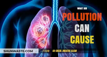 Unveiling the Hidden Dangers: Air Pollution's Impact on Health