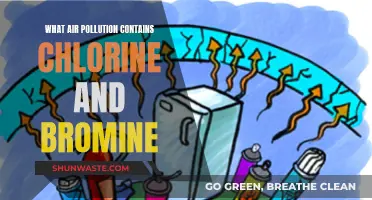 Air Pollution's Chlorine and Bromine: A Toxic Mix