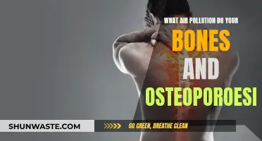 Air Pollution: Bone Health and Osteoporosis Risks
