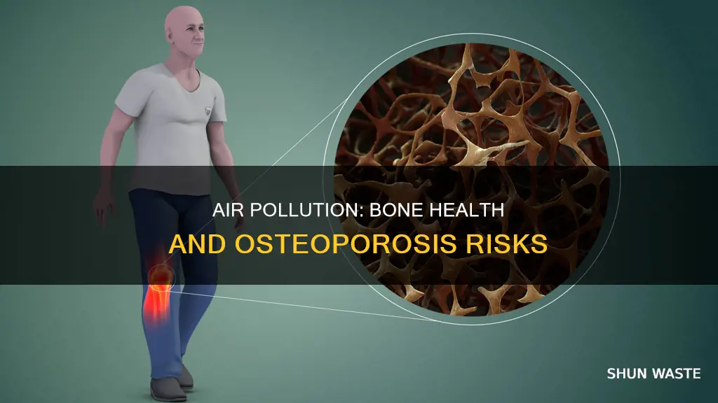 what air pollution do your bones and osteoporoesis