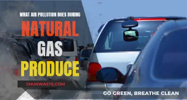 Natural Gas Burning: Air Pollution and Health Risks