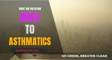 Air Pollution: A Dangerous Trigger for Asthma Attacks