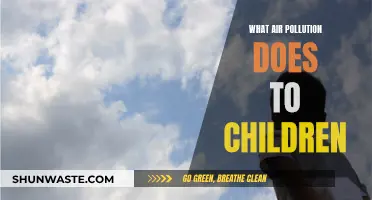 Air Pollution: Harming Our Children's Health