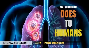 Air Pollution: A Slow Poison for Humans