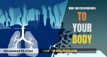 Air Pollution: Harmful Effects on Your Body