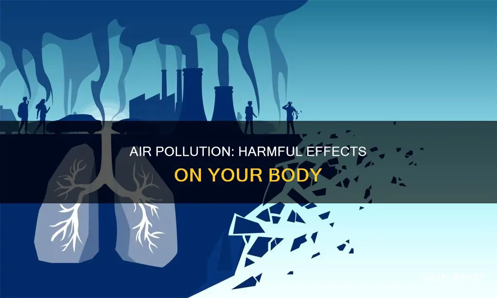 what air pollution does to your body