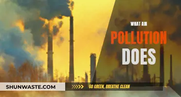 Air Pollution: A Slow, Silent Killer