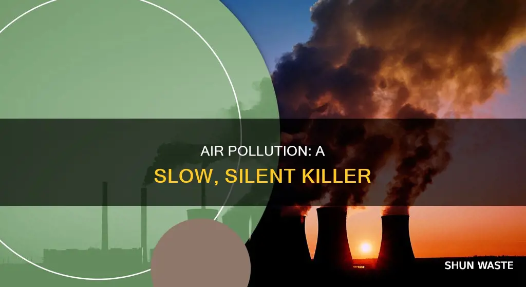 what air pollution does