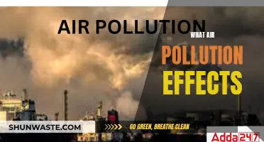Air Pollution's Impact: Understanding the Devastating Effects
