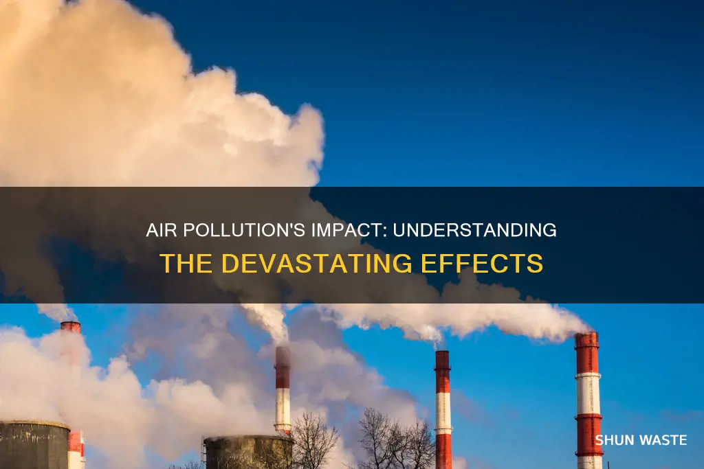 what air pollution effects