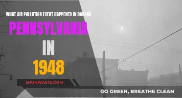 Donora's Air Pollution Disaster: A Historical Account