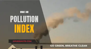 Air Pollution Index: Understanding the Severity of Air Quality