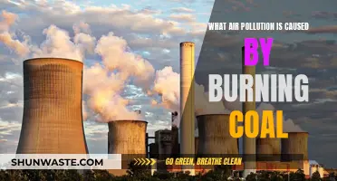 Unveiling the Coal-Fired Air Pollution Crisis: A Comprehensive Overview