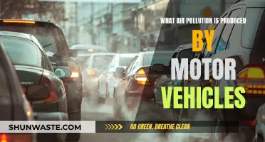Motor Vehicles: Air Pollution and Health Risks