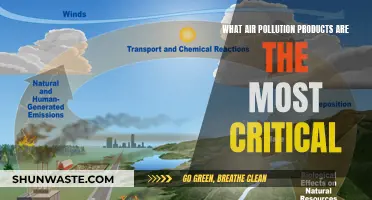 Air Pollution: Most Critical Products and Their Impact