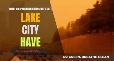 Salt Lake City's Air Pollution Rating: A Comprehensive Overview