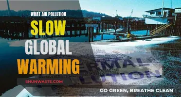Air Pollution Paradox: Slowing Global Warming?