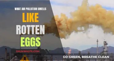 The Stench of Rotten Eggs: Air Pollution's Signature Scent
