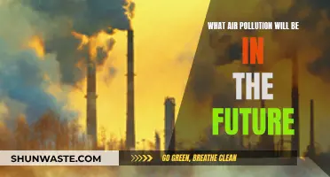 Air Pollution's Future: What's Next for Our Planet?