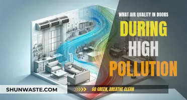 Air Quality Focus: Indoors vs High Pollution