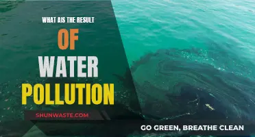 The Devastating Impact: Water Pollution's Dire Consequences